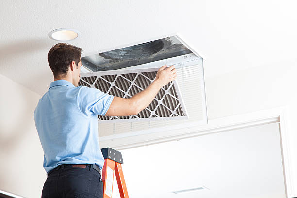 Best Air Filters and Purifiers in Licking, MO